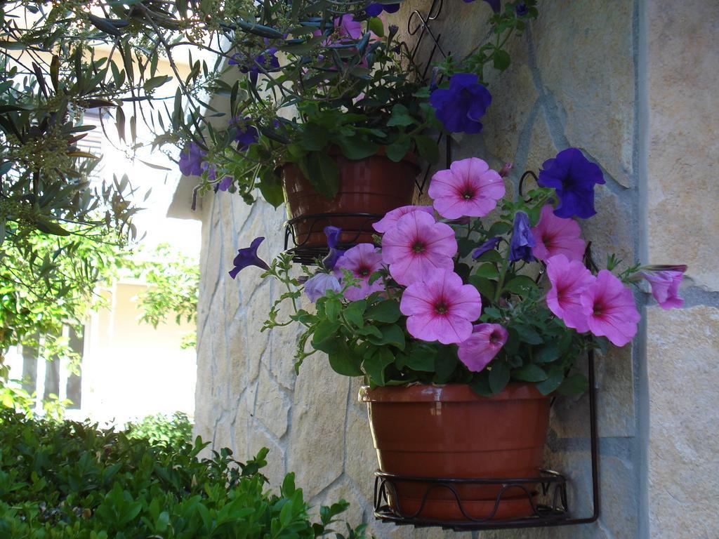Apartments Villa Lilla Baška Voda Buitenkant foto